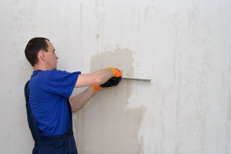 Plaster Wall Service