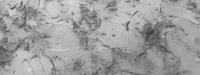 Plaster Wall Service