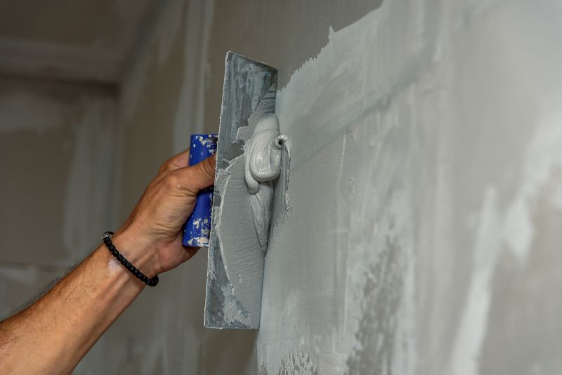 Professional Plaster Application